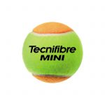 Tecnifibre Stage 2 Orange Tennis Ball - single ball